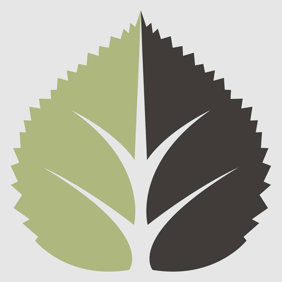 Aspen Grove Studios Logo